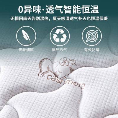 席梦思床垫家用软硬两用20厚双人1.8米1.5出租房经济型弹簧床垫