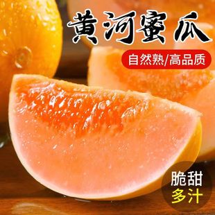 【5A品质】陕西甜瓜黄河蜜瓜新鲜当季水果脆甜如蜜假一赔十