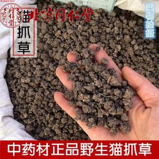 猫爪草 北京同仁堂猫爪草野生新鲜材水洗猫抓草晒干煲汤药膳100克