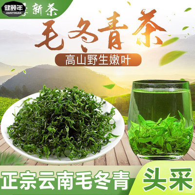 云南毛冬青茶正宗野生叶山