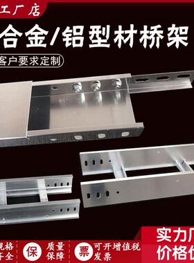 热镀锌电缆桥架金属线槽304不锈钢梯式防火铝合金喷塑200100