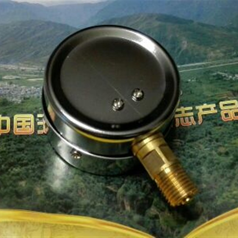 微压力计微压表膜盒压力表0~250mbar直径60mm m14x1.5空气压力