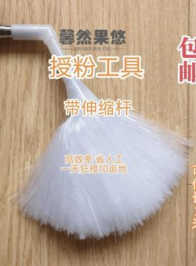 梨树授粉工具 加长授粉杆 人工授粉刷 果树授粉梨花授粉快速授粉