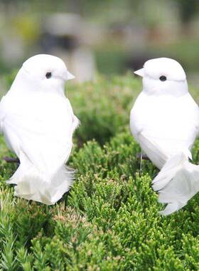 仿真白色小鸟 仿真小鸟 家居装饰 摄影造景 背景墙装饰 景观配饰