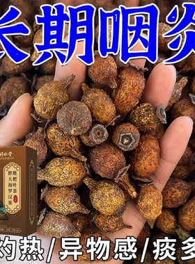 北京同仁堂慢性咽炎茶止咳化痰润肺消炎清肺排毒养肺茶包润喉护嗓