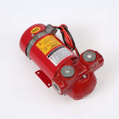 汽油泵 FYBJ-75 直流防爆油泵 DC Ex-Proof Fuel Transfer Pump