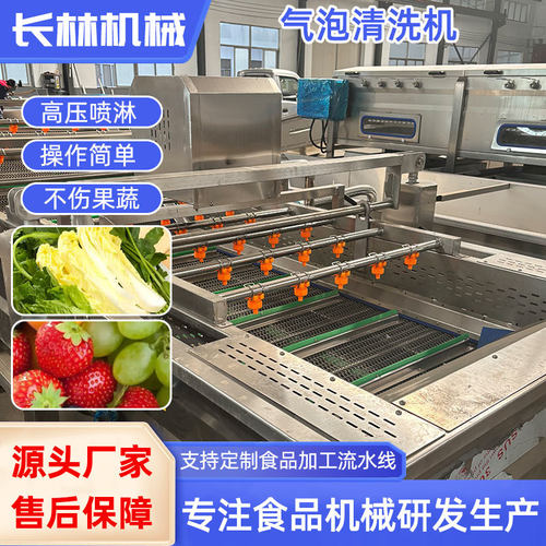梅干菜荷兰豆清洗加工设备蒜米雪菜清洗流水线马蹄田七气泡清洗机