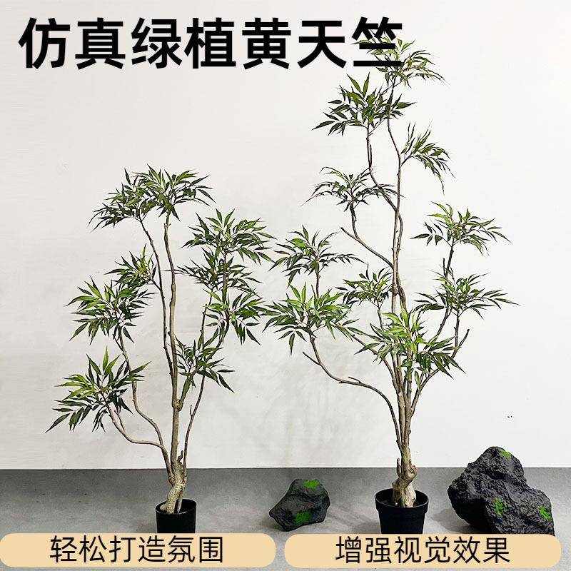 绿植黄天竺盆栽异形假植物十大功效盆景客厅橱窗装饰摆件仿真
