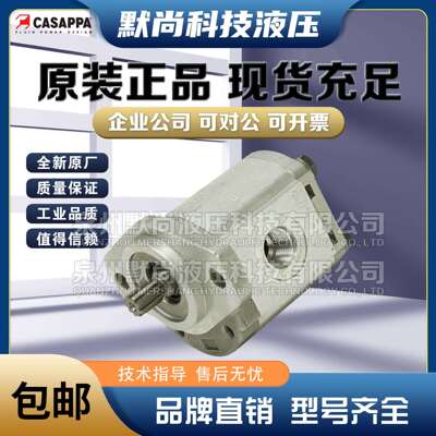凯斯帕CASAPPA齿轮马达PLM30.22/27/34/38/43/51/61/73/82/90R