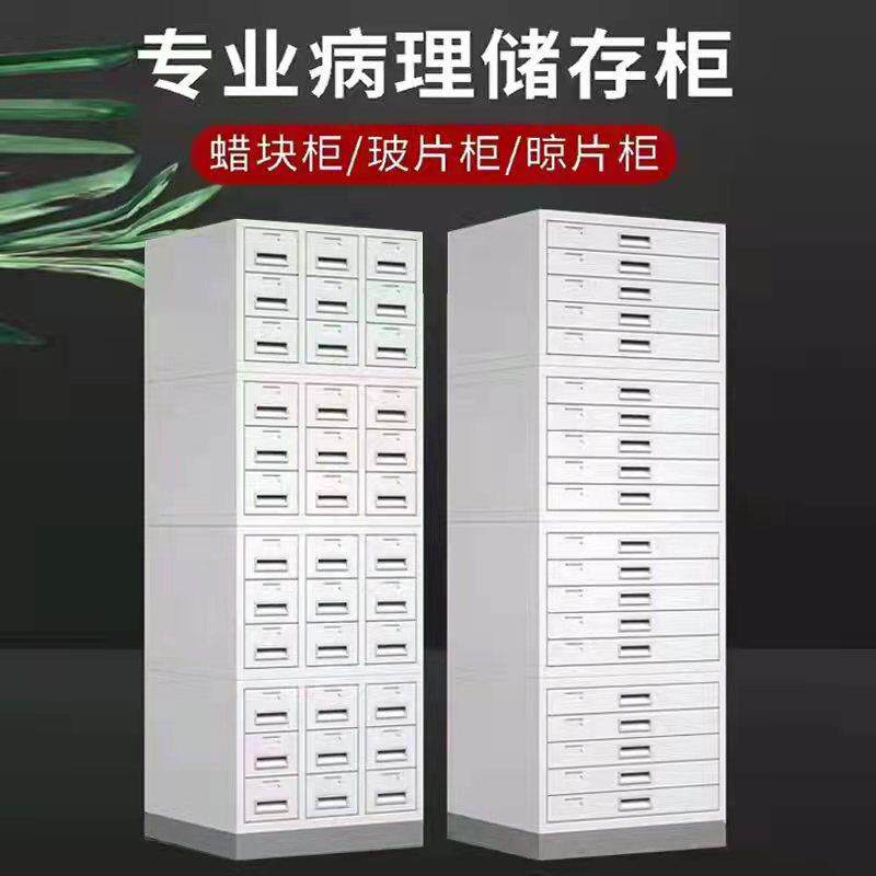 医院病理切片玻片储存柜 组织蜡块存放金属柜 可移动实验室柜