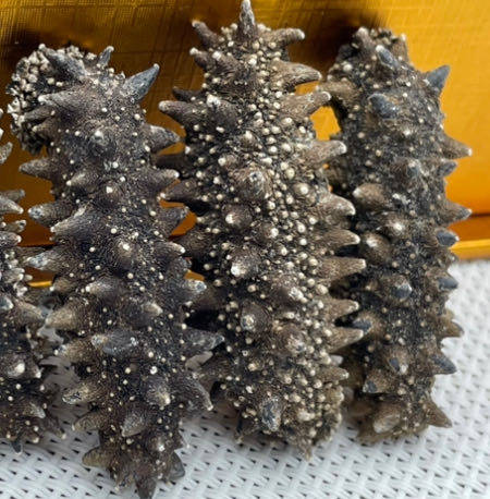 识海【稀缺高营养】深海根刺粗壮肉质肥厚野生干海参500g