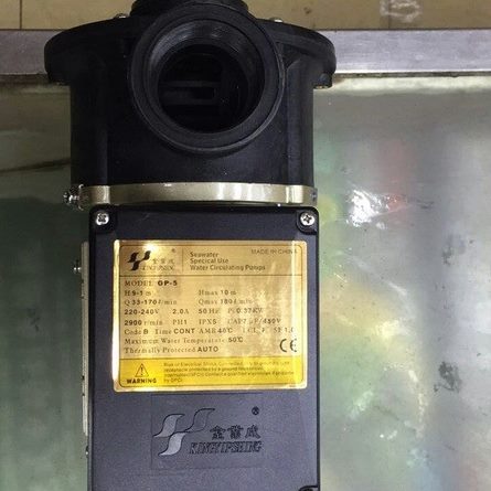 厂促金业成GP-3.5.10海水循环泵抽水泵制冰机水泵养殖泵泳池泵