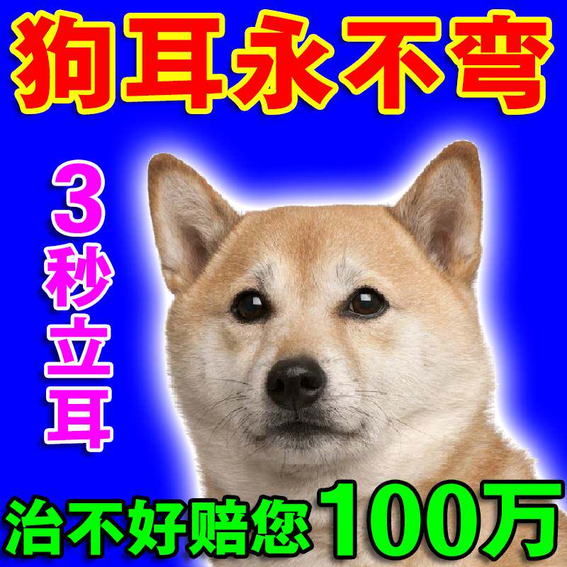 速发立器立耳营辅液幼犬杜宾马犬牧羊犬通用立耳珠竖耳养助器