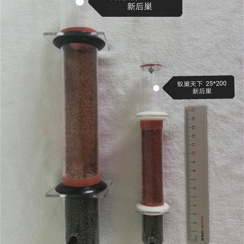 现货速发神器竹节00蚁巢天下新後巢40*试管巢暴产养蚁必需款