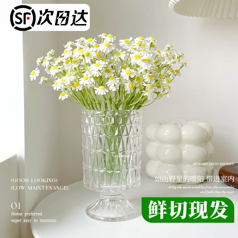 速发洋甘菊花雏菊花束云南基地直发鲜切卉水培真花家用插花小配草