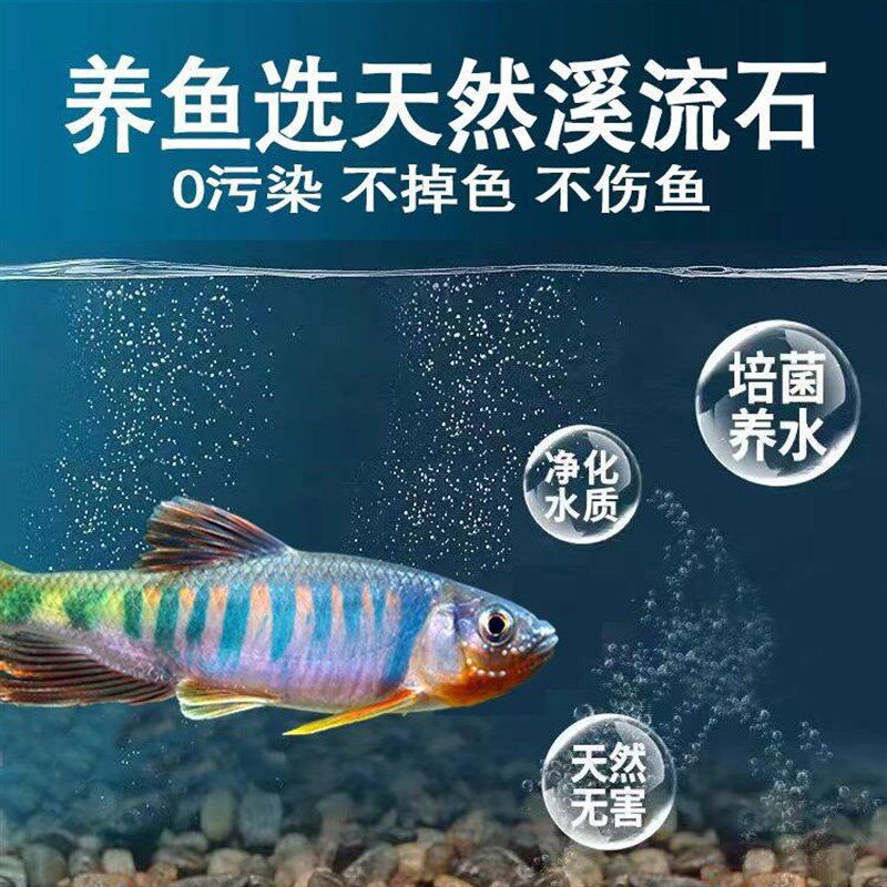 速发溪流沙鱼缸底砂溪流石原生鱼缸铺底南美雷龙鱼造鱼景缸石头