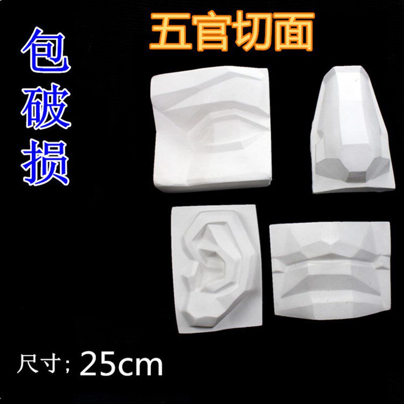 速发勃术特美兰用品石膏像五官切面大卫五官眼鼻耳嘴石膏素描教具