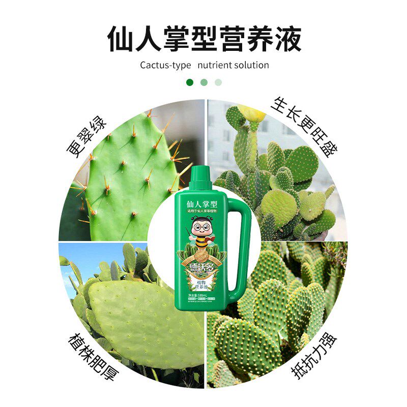 现货速发仙人球肥料肥营养液仙人掌柱多浆植物室内家用养花盆栽通