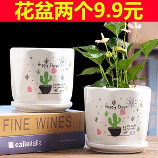 速发花盆陶瓷清仓特大大号创性个意约简家用塑料绿萝多肉直筒花盆