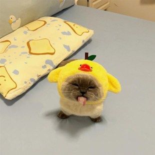 速发猫咪头套小可鸡爱拍照秋冬可保暖变装帽尔马济斯头饰