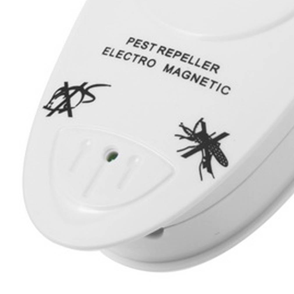 速发1pc High quity Electro MageteUl raso Eltctro