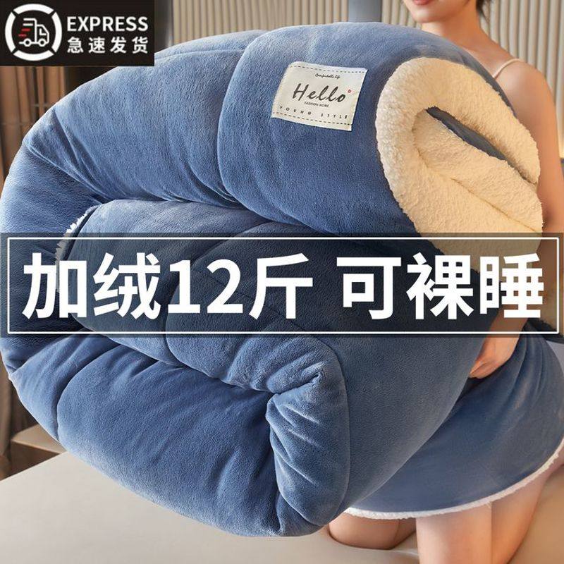 羊羔绒被子2025新款冬季棉被被芯冬天单人宿舍秋冬被加厚保暖10斤,床上用品,化纤被,淘宝优惠券,粉丝福利购,淘宝优惠卷