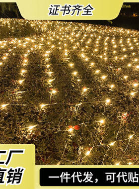 厂家插电灯串彩灯网灯LED渔网灯户外防水庭园满天星圣诞灯