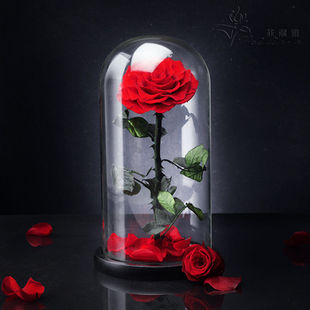 214情人节礼物送女友大王子朵永生花成品玻璃罩玫瑰花不凋谢