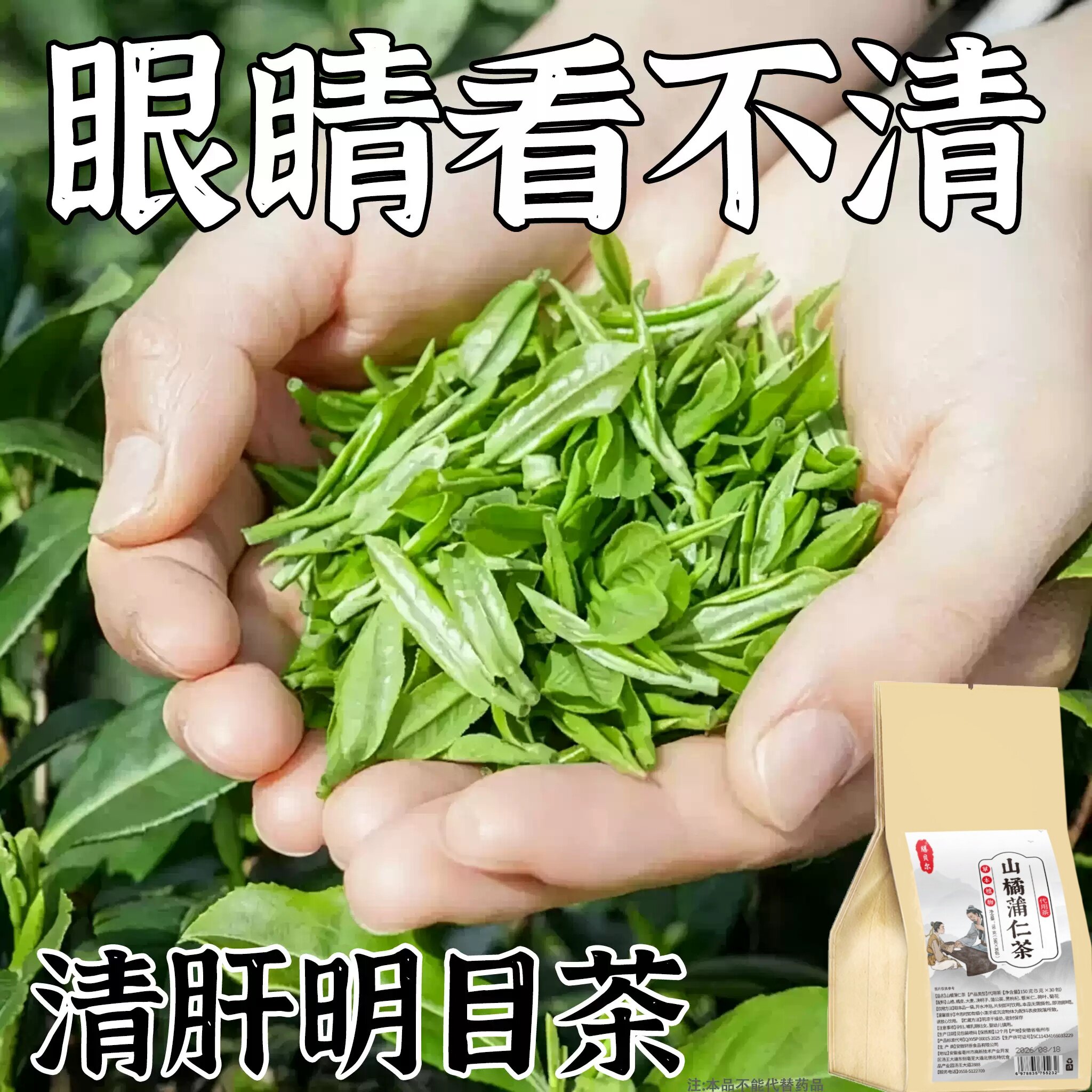 【眼睛看不清】明目护眼茶眼涩眼干模糊飞蚊养眼近光决明子茶