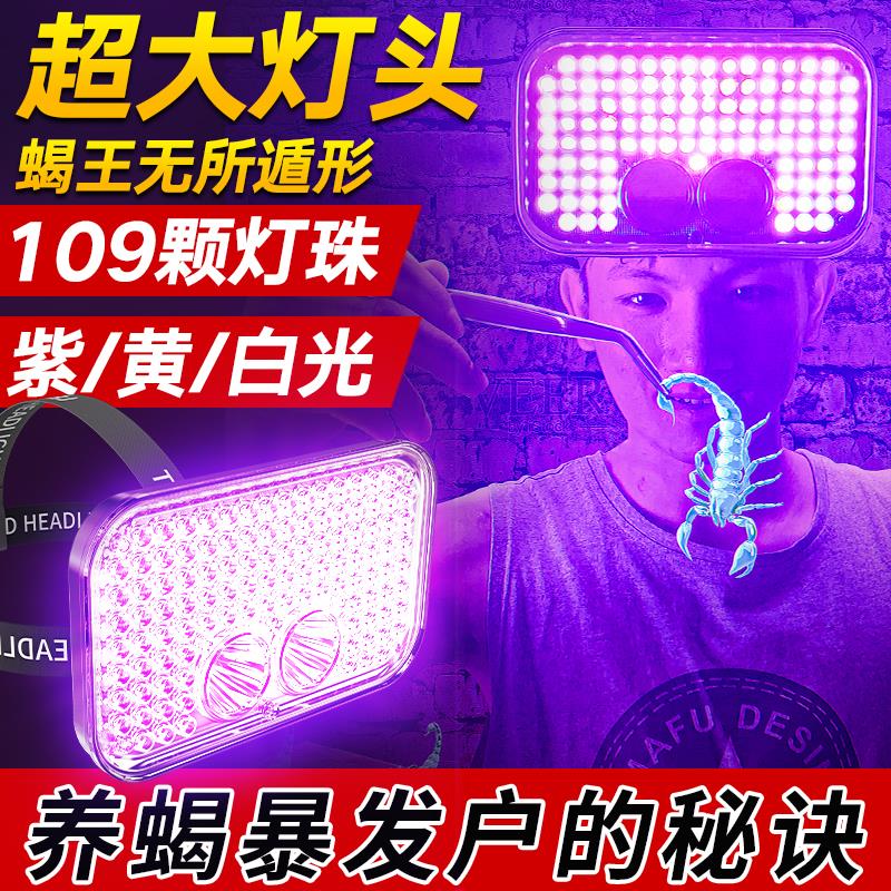 户外照蝎子专用紫光灯大面积超强光手电筒头灯充电照明鉴定灯知了