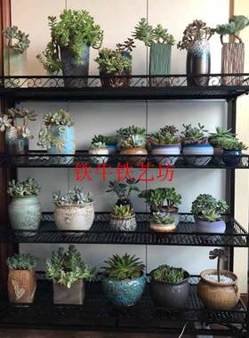 7K内铁牛室LDDC02多肉植可物补光灯动花架多层移带轮多肉锥花盆架