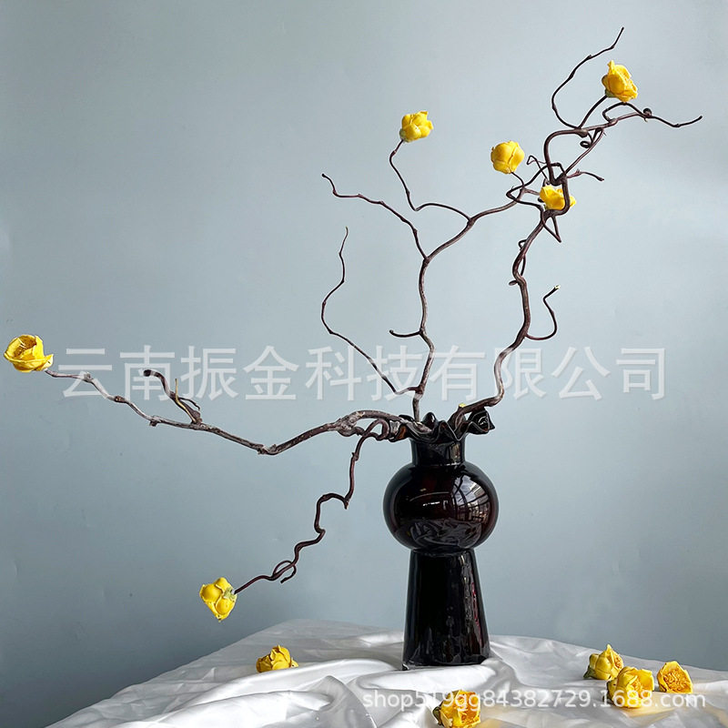 中式龙枣枝金花腊梅干花背景