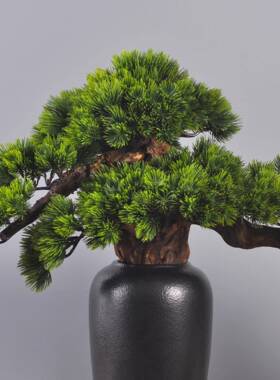 仿真迎松盆景创意免客保养鹃根工艺品办公桌杜家客厅M00094电视柜