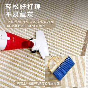 地毯客厅2免024沙新款 可轻奢VOZ奶油风发茶几洗擦卧室免打理家用
