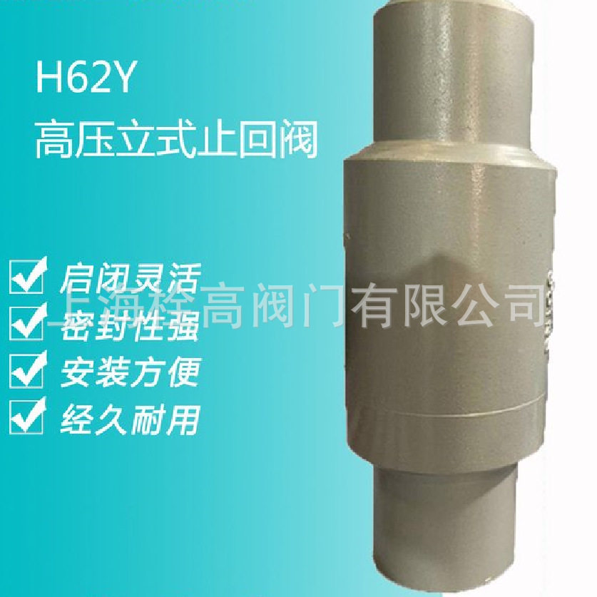 H62Y-25不锈钢高压立式止回阀
