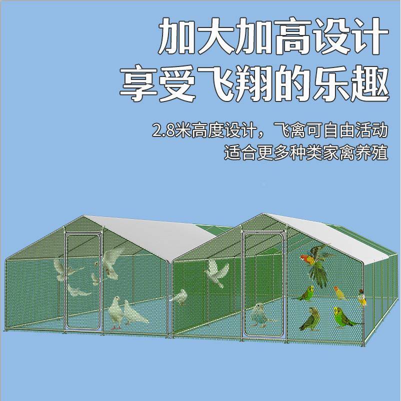 鸽子笼鸡笼家用室鸡外棚鸡子殖养笼特大户外大笼型养XGB鸡棚专用