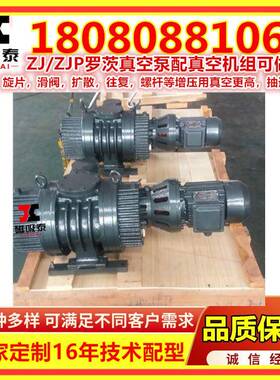 绍兴白漆12910ZP-25空00罗茨真空小型真空泵泵真造纸厂JZJP/ZJ罗