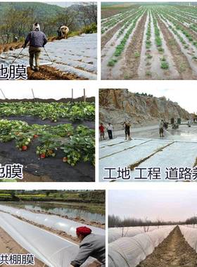 ll农用保白色地膜育苗bbf35885种植黑色地膜工温程膜混土养护薄膜