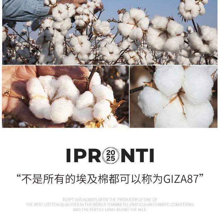 140FFY-140S支埃棉及抛长绒棉贡缎面料素色高端全奢华布料高支高