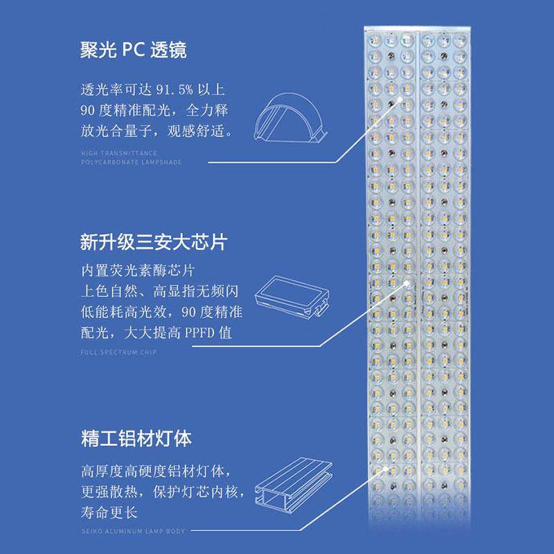 多肉补光灯T36透镜款室内太热上家用XRC色全光谱仿阳植植物灯生长