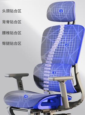 电脑椅人用办公椅家庭靠背舒适座镂椅空椅72353学习家长坐体工学