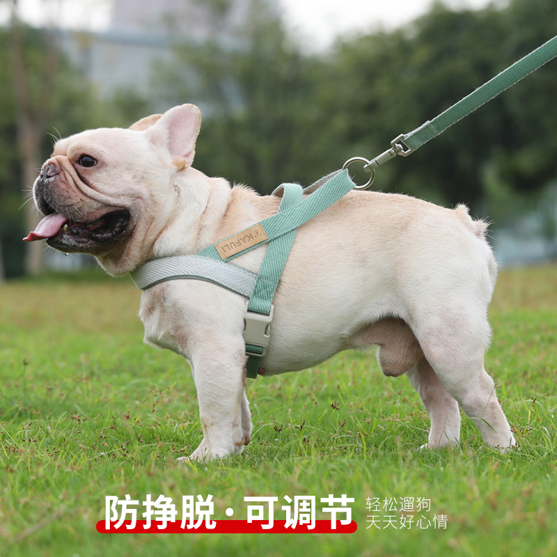 狗狗牵引绳 宠物背心式胸背带中大型犬法斗金毛遛狗绳子用品