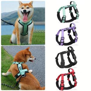 walking small and Dog sized for medium dogs leash