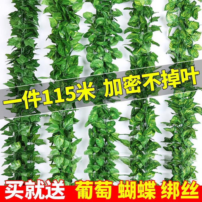 假花藤条树叶子管道缠绕绿藤蔓葡萄叶吊顶装饰屋顶绿植物王之