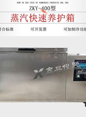 ZKY-400混凝土蒸汽快速养护箱 混凝土试块蒸汽快速养护箱 养护箱