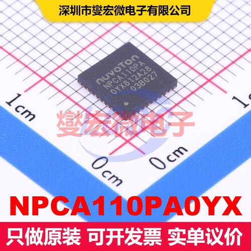 NPCA110PA0YX QFN-40-EP(6x6) 音频放大器 线性 集成芯片IC