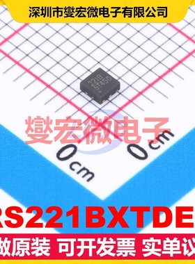 RS221BXTDE6 TDFN-6(2x2) 单路运算放大器芯片IC