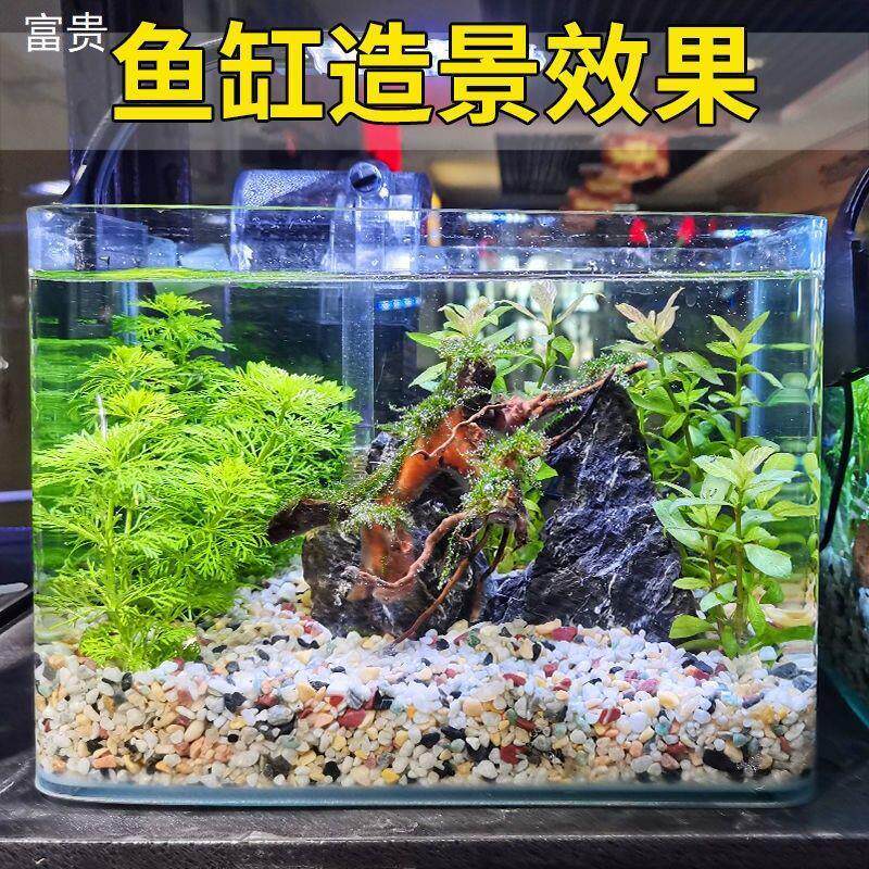 天然雨花石造景底火砂 石鱼缸装彩色石子 龟饰缸五花石小石头 山