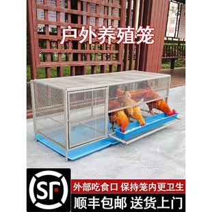 户村鸡笼家用室外大号方管网密加粗加厚004农鸭鹅兔外养殖笼防黄