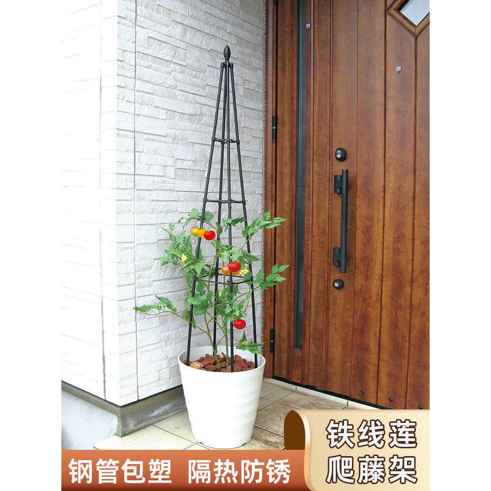 种植铁莲四花角塔外型支架子花架爬9.7.6.02线藤架户阳台爬藤月季